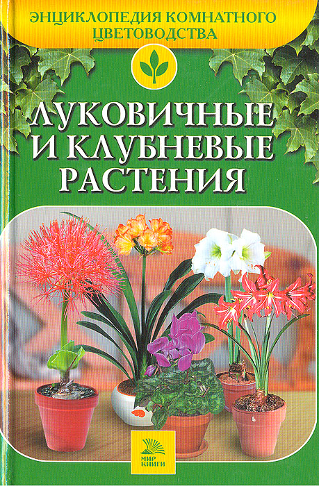  - «Луковичные и клубневые растения»