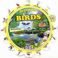 Билингва - «Тематический словарь BIRDS»