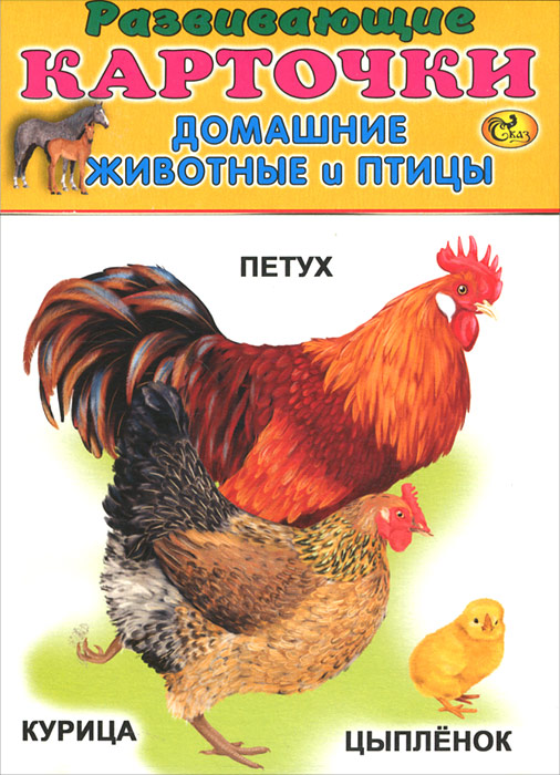 Домашние животные и птицы (набор из 12 карточек)