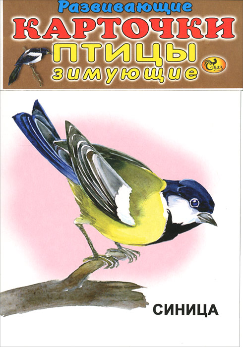 Птицы зимующие (набор из 12 карточек)