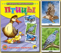 Птицы. 16 обучающих карточек