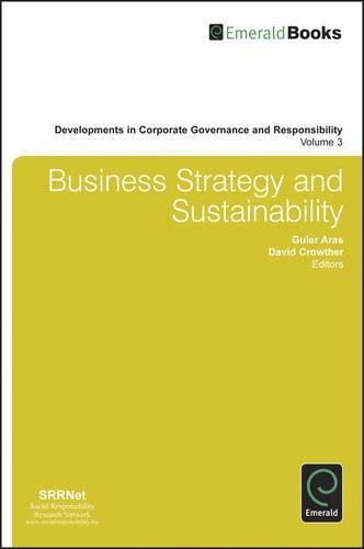 Business Strategy & Sustainability (Developments in Corporate Governance and Responsibility)