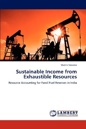 Shalini Saksena - «Sustainable Income from Exhaustible Resources: Resource Accounting for Fossil Fuel Reserves in India»