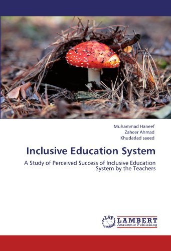 Muhammad Haneef, Zaheer Ahmad, Khudadad saeed - «Inclusive Education System: A Study of Perceived Success of Inclusive Education System by the Teachers»