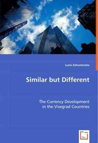 Similar but Different: The Currency Development in the Visegrad Countries
