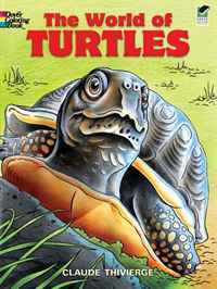 The World of Turtles