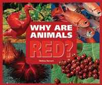 Melissa Stewart - «Why Are Animals Red? (Rainbow of Animals)»