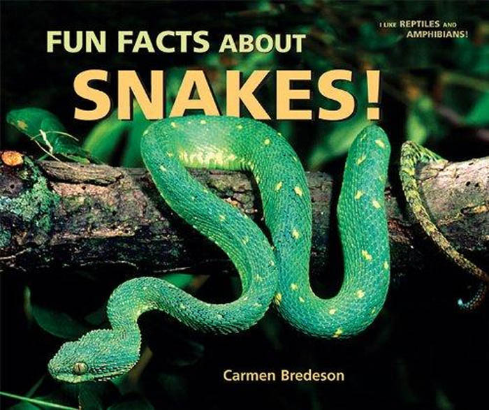 Carmen Bredeson - «Fun Facts About Snakes!»