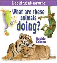 Bobbie Kalman - «What Are These Animals Doing? (Looking at Nature)»