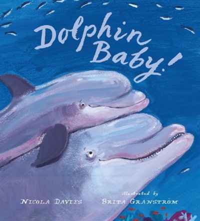 Dolphin Baby! (Junior Library Guild Selection (Candlewick Press))