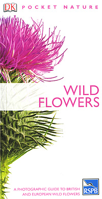 Neil Fletcher - «Wild Flowers»
