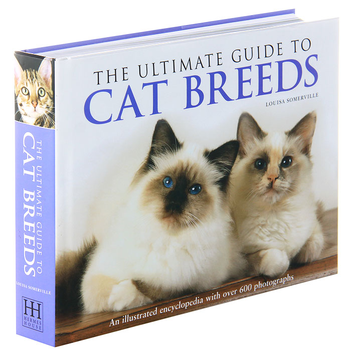 Ultimate Guide to Cat Breeds