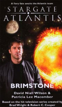 David Niall Wilson, Patricia Lee Macomber - «Stargate Atlantis: Brimstone: SGA-15»