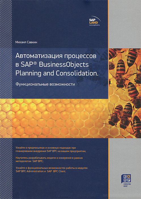 Михаил Савкин - «Автоматизация процессов в SAP BusinessObjects Planning and Consolidation. Функциональные возможности»