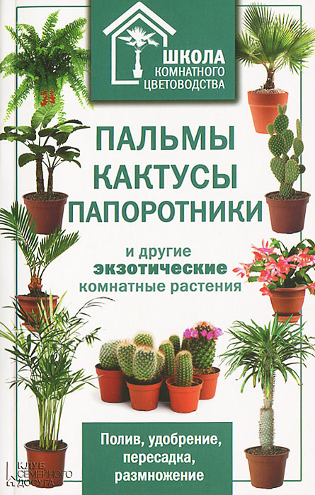 Пальмы, кактусы, папоротники и другие экзотические комнатные растения