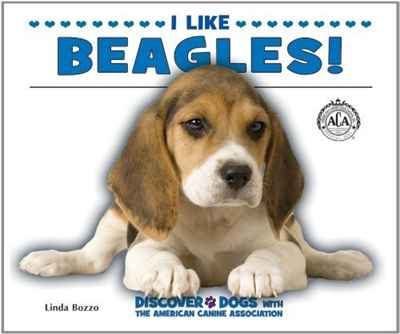 I Like Beagles! (Discover Dogs With the American Canine Association)