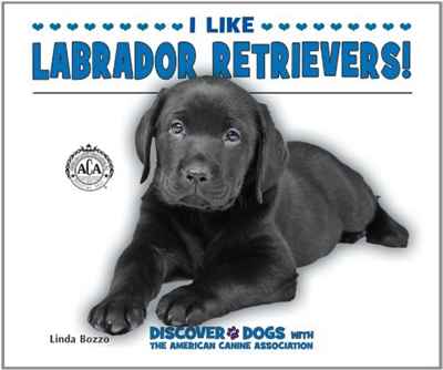 Linda Bozzo - «I Like Labrador Retrievers! (Discover Dogs With the American Canine Association)»
