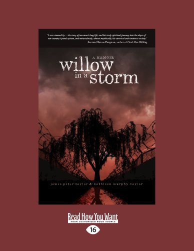Willow In A Storm: A Memoir
