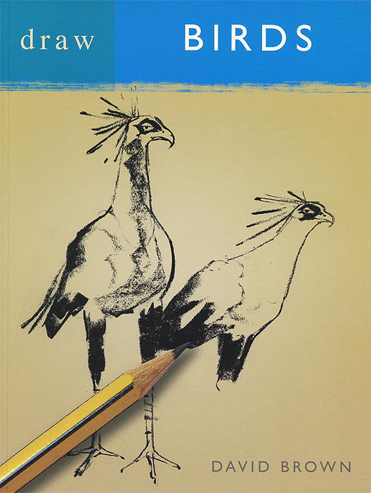 David Brown - «Draw Birds»