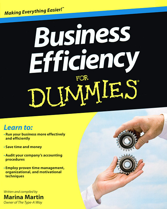Business Efficiency for Dummies