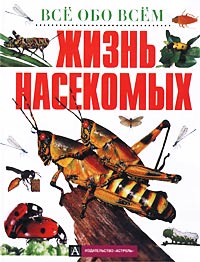 Тамара Грин - «Жизнь насекомых»