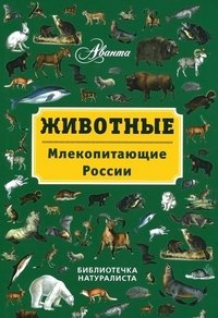 Животные. Млекопитающие России