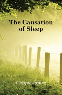 Cappie James - «The Causation of Sleep»