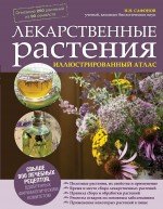 Н. Н. Сафонов - «Лекарственные растения. Иллюстрированный атлас»
