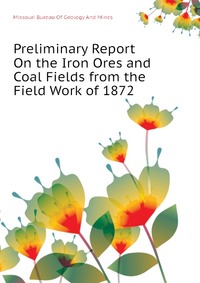 Preliminary Report On the Iron Ores and Coal Fields from the Field Work of 1872