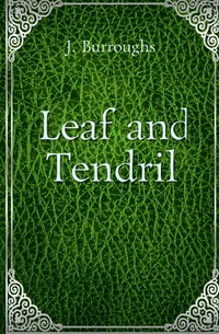 Leaf and Tendril