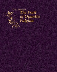 The Fruit of Opuntia Fulgida