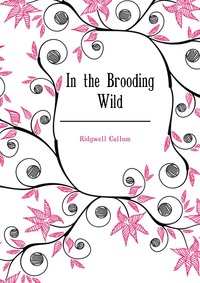 Cullum Ridgwell - «In the Brooding Wild»