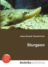 Jesse Russel - «Sturgeon»