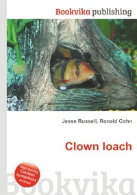 Clown loach