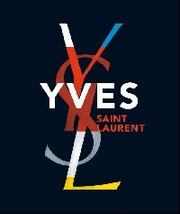 Farid Chenoune, Florence Muller - «Yves Saint Laurent»