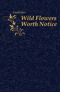 Lankester - «Wild Flowers Worth Notice»