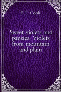 Sweet violets and pansies. Violets from mountain and plain