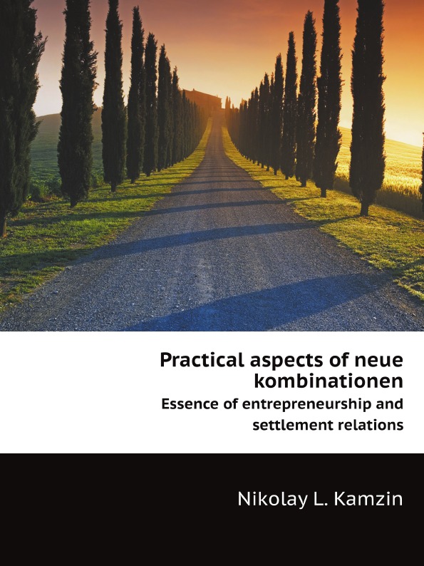 Николай Камзин - «Practical aspects of neue kombinationen. Essence of entrepreneurship and settlement relations»