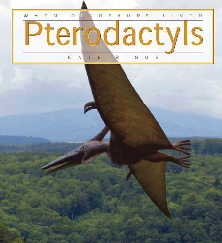 When Dinosaurs Lived: Pterodactyl