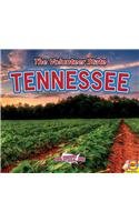 Pamela McDowell - «Tennessee, with Code: The Volunteer State (Explore the U.S.A.)»