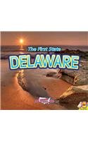 Karen Durrie - «Delaware with Code (Explore the U.S.A.)»