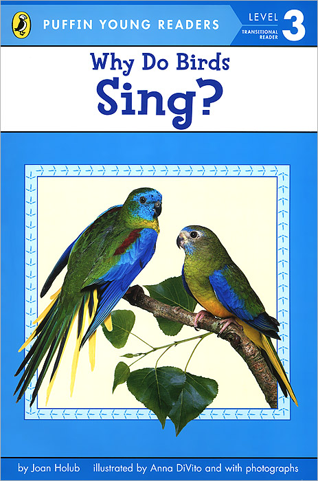 Why Do Birds Sing? Level 3