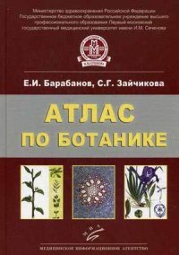 С. Г. Зайчикова, Е. И. Барабанов - «Атлас по ботанике. Анатомия, морфология и систематика высших растений»