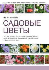 И. Пескова - «Садовые цветы»