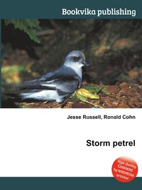 Storm petrel