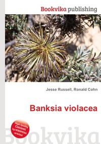 Banksia violacea