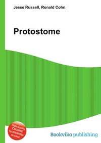 Protostome