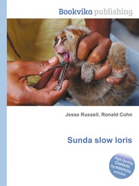Sunda slow loris