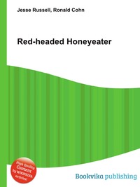 Red-headed Honeyeater