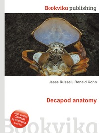 Decapod anatomy
